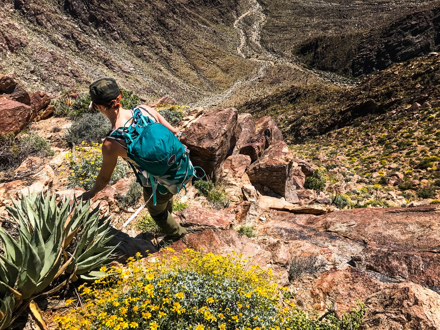 6 Tips for Better Desert Hiking Outdoor Project