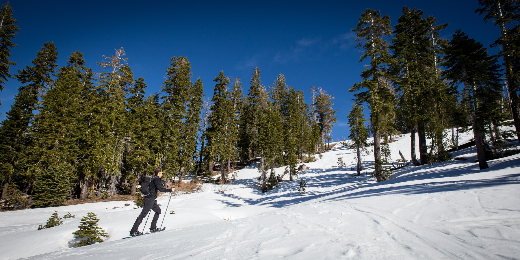 Best Snowshoe Trails in Tahoe's Backcountry Outdoor Project