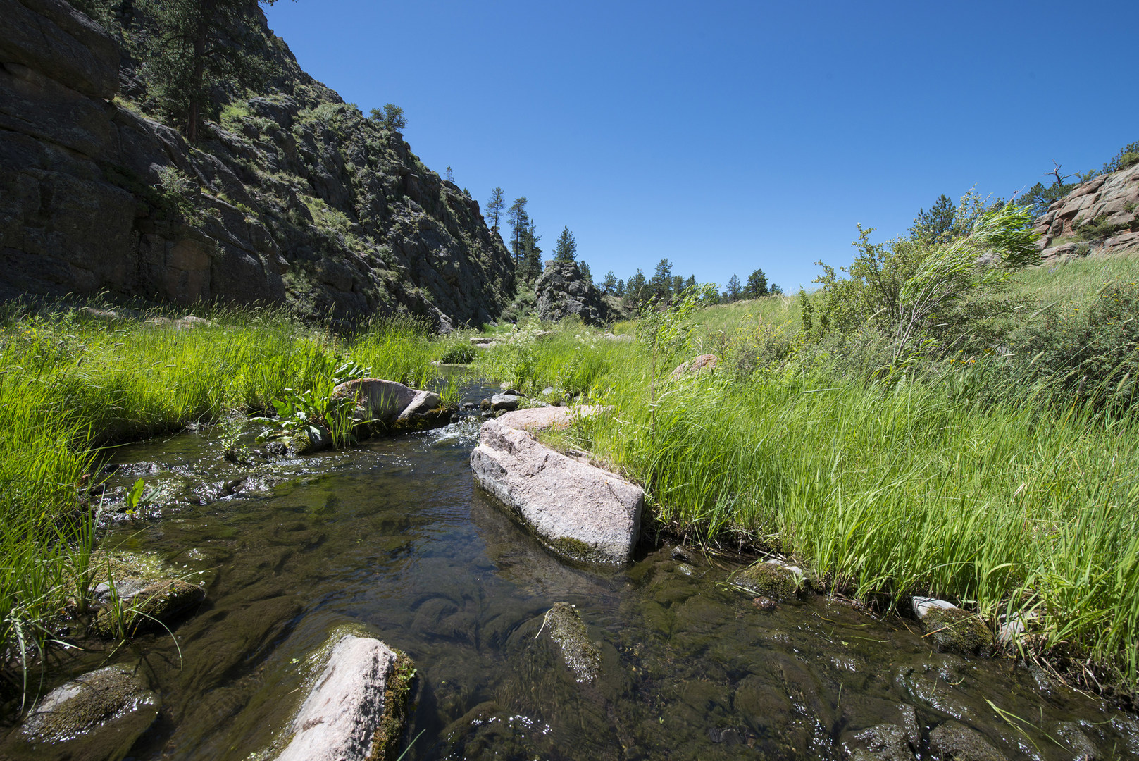 5 Favorite Swimming Holes Near Denver Outdoor Project