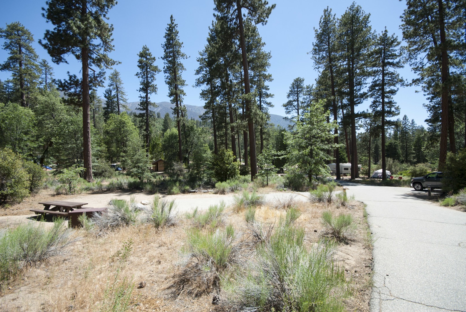 Barton Flats Recreation Area Outdoor Project