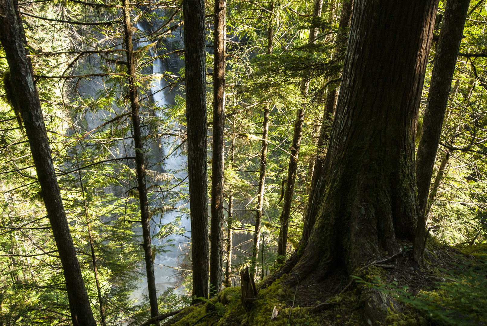 30 MustSee Waterfalls + Hikes in Washington Outdoor Project