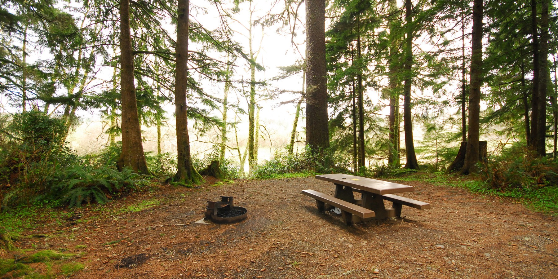 Best Yearround Campgrounds in Washington Outdoor Project
