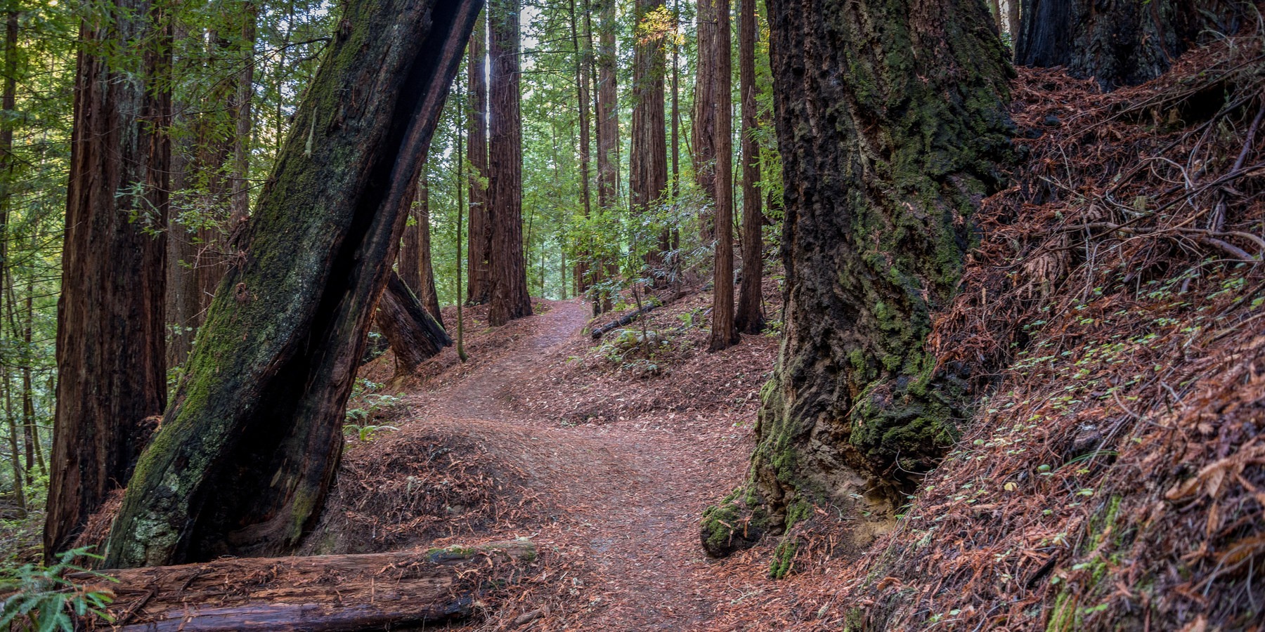 California's Best Backpacking Trips Outdoor Project