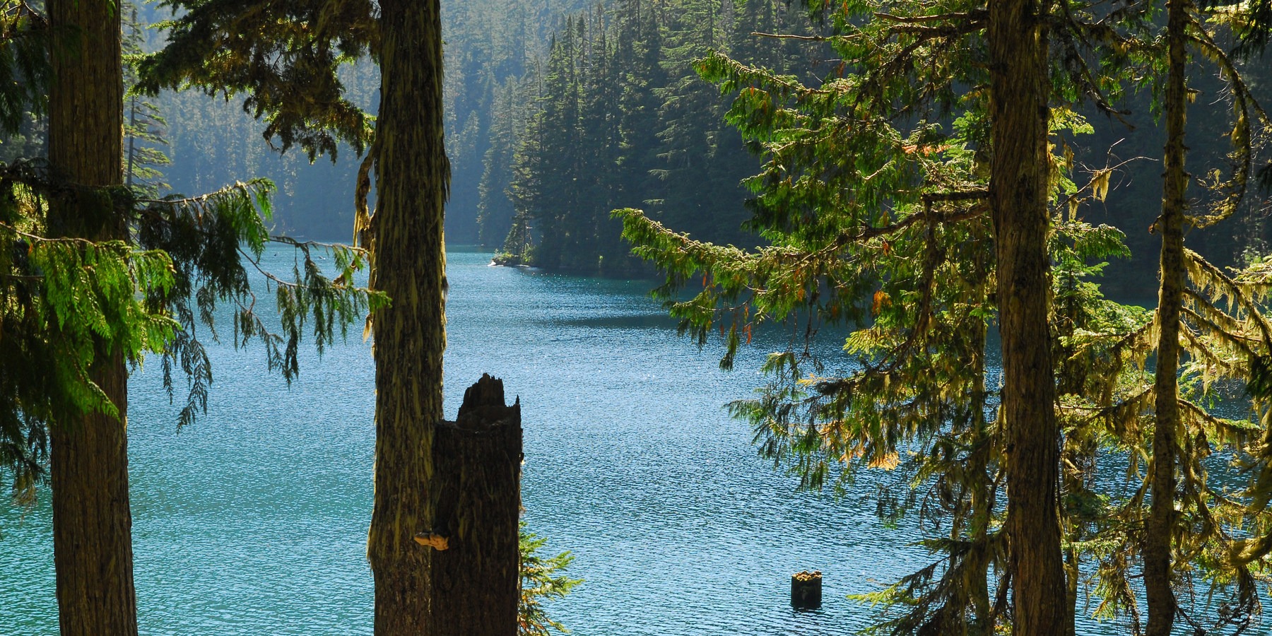 Washington's Best Backpacking Trips Outdoor Project