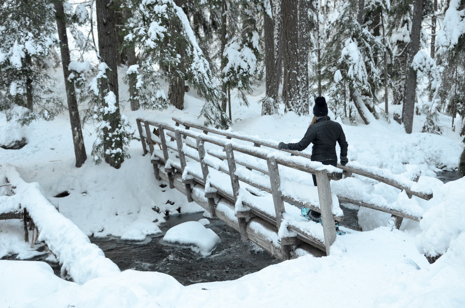 10 Amazing Snowshoe Trails in Oregon Outdoor Project