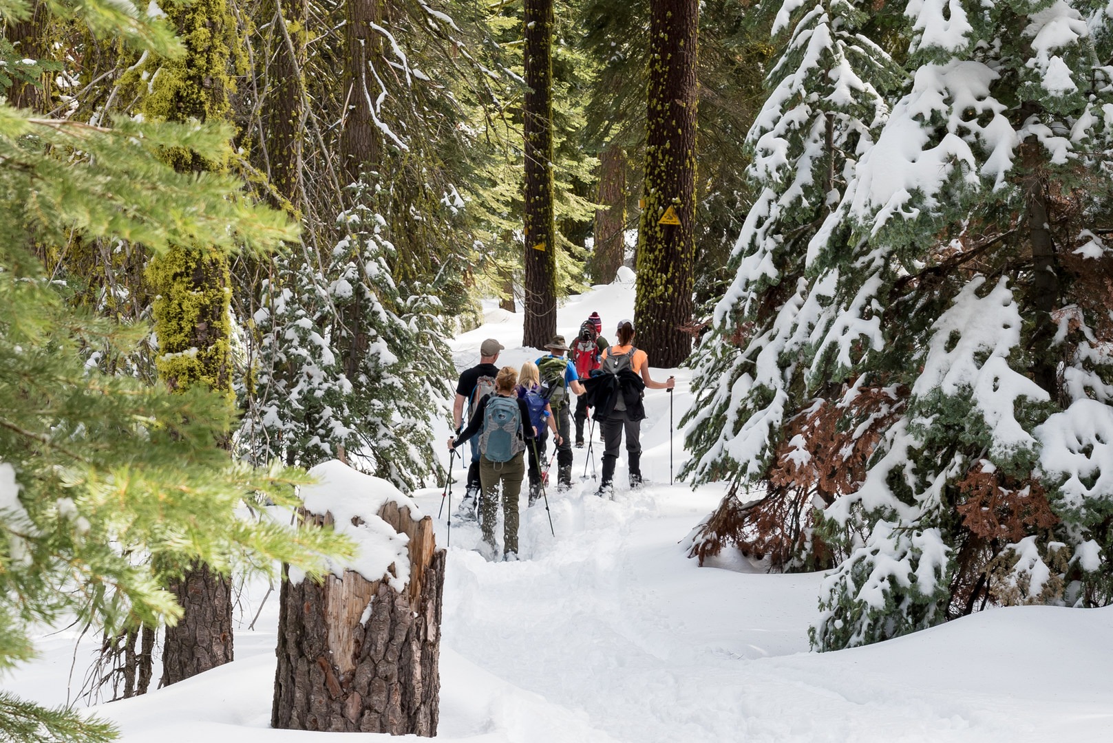 22 Mustdo Snowshoe Trails in the West Outdoor Project