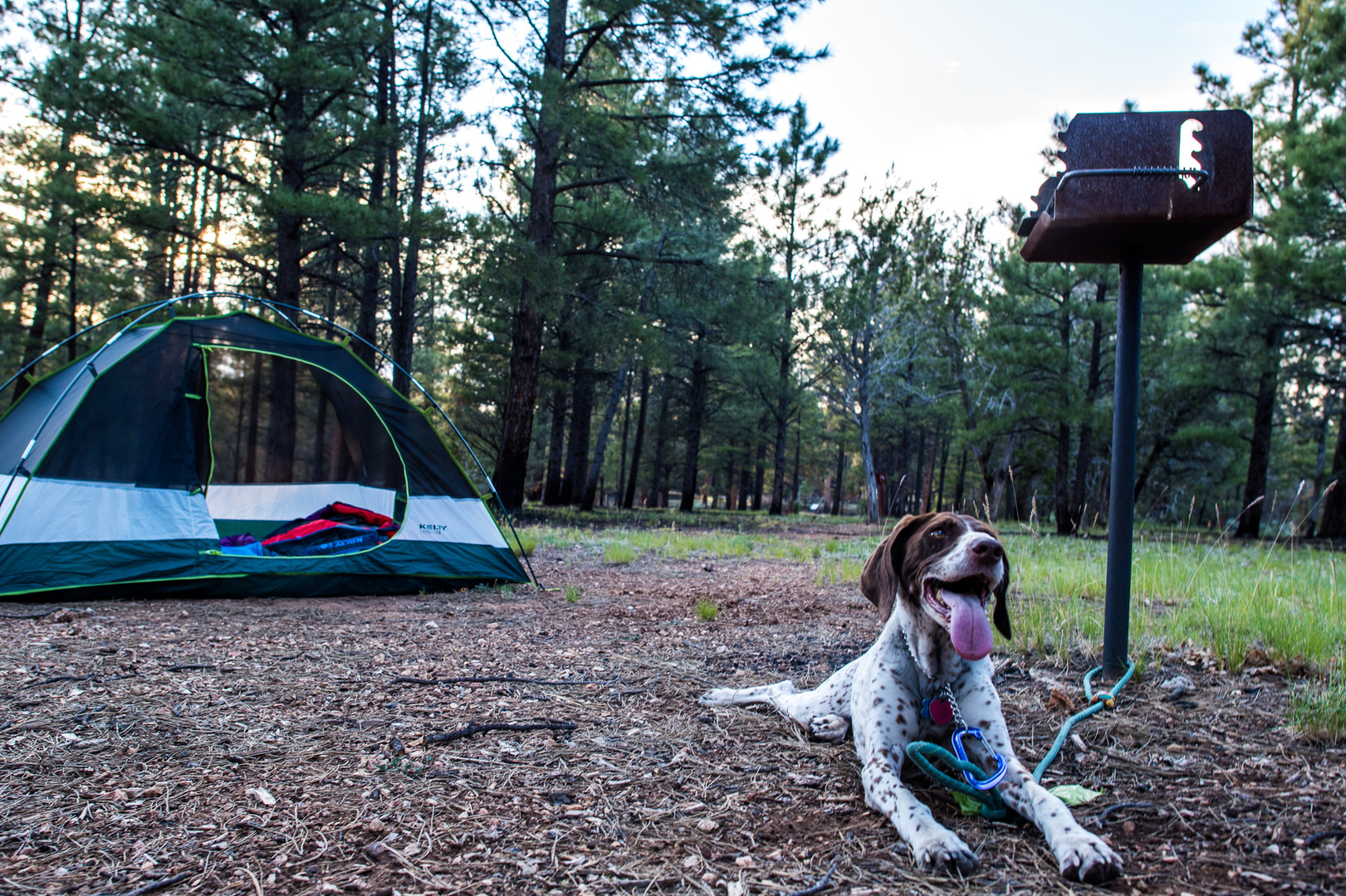 Guide to Camping in Grand Canyon National Park Outdoor Project