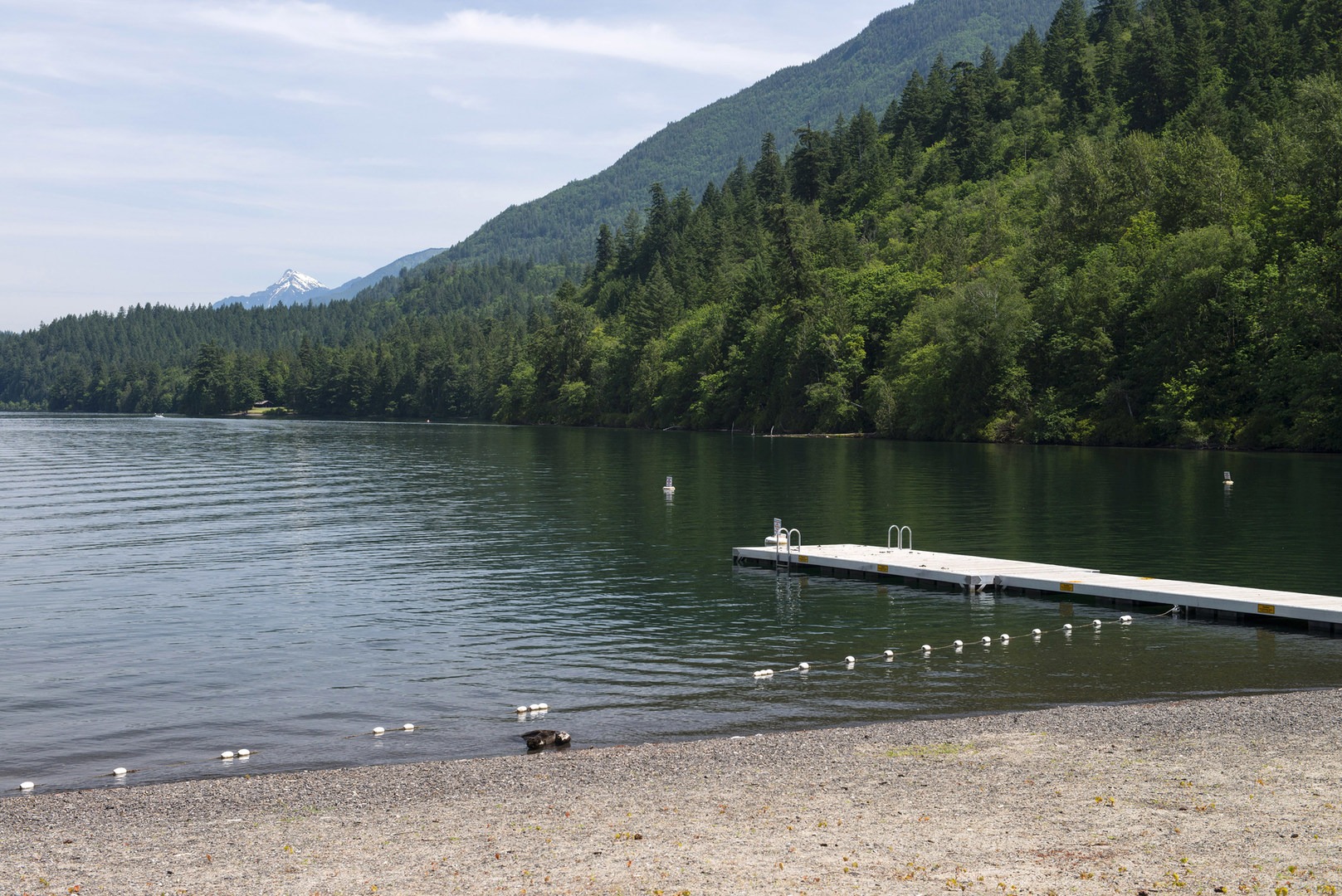 5 Reasons Why You Should Spend a Weekend at Cultus Lake Outdoor Project