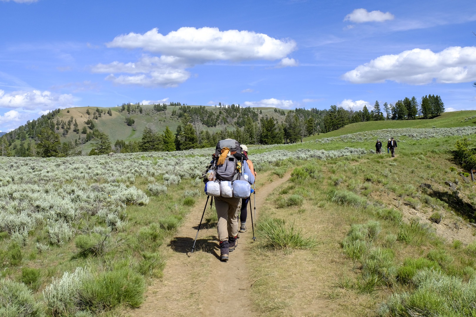best backpacking trips in yellowstone