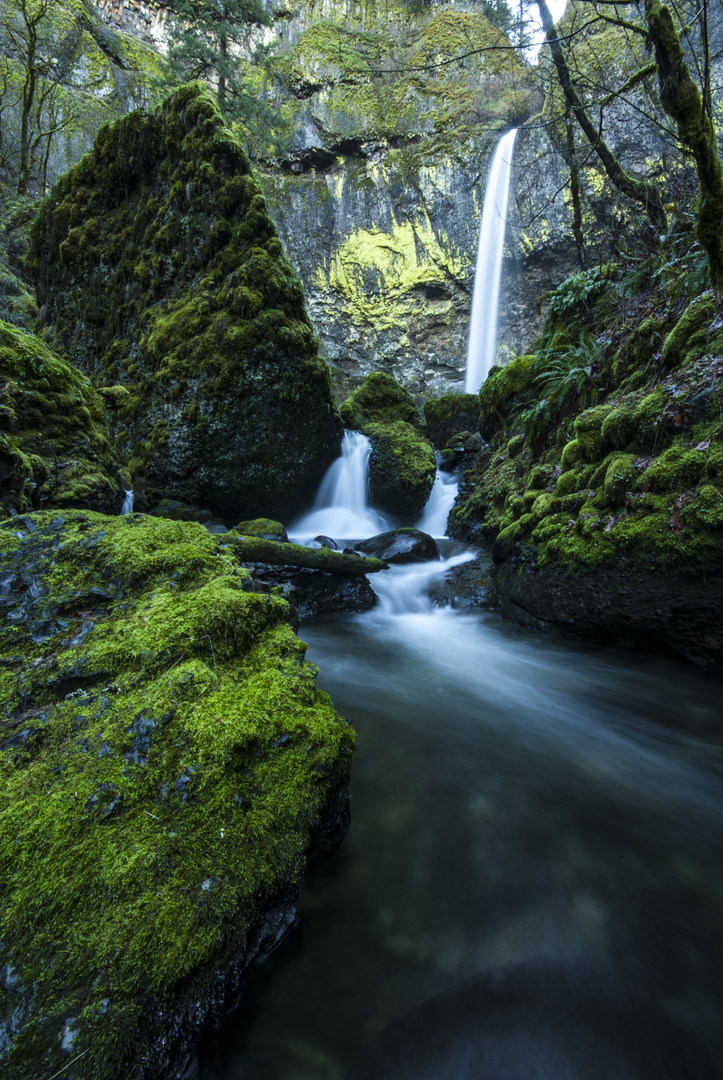 log home builder near me