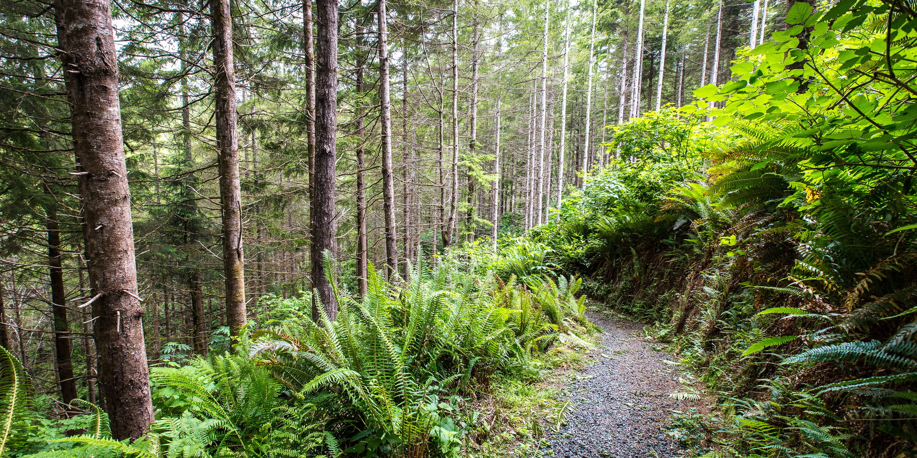 Best Hikes on the Northern Oregon Coast - Outdoor Project