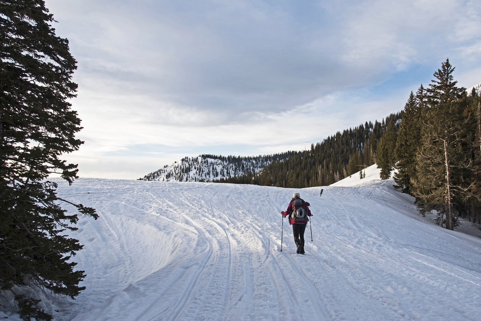 Development Threatens Bonanza Flats in Utah's Wasatch Outdoor Project