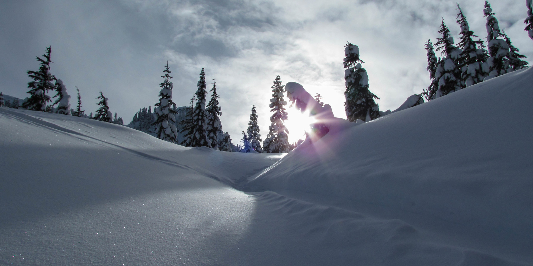 Great Snowshoeing Near Seattle Outdoor Project