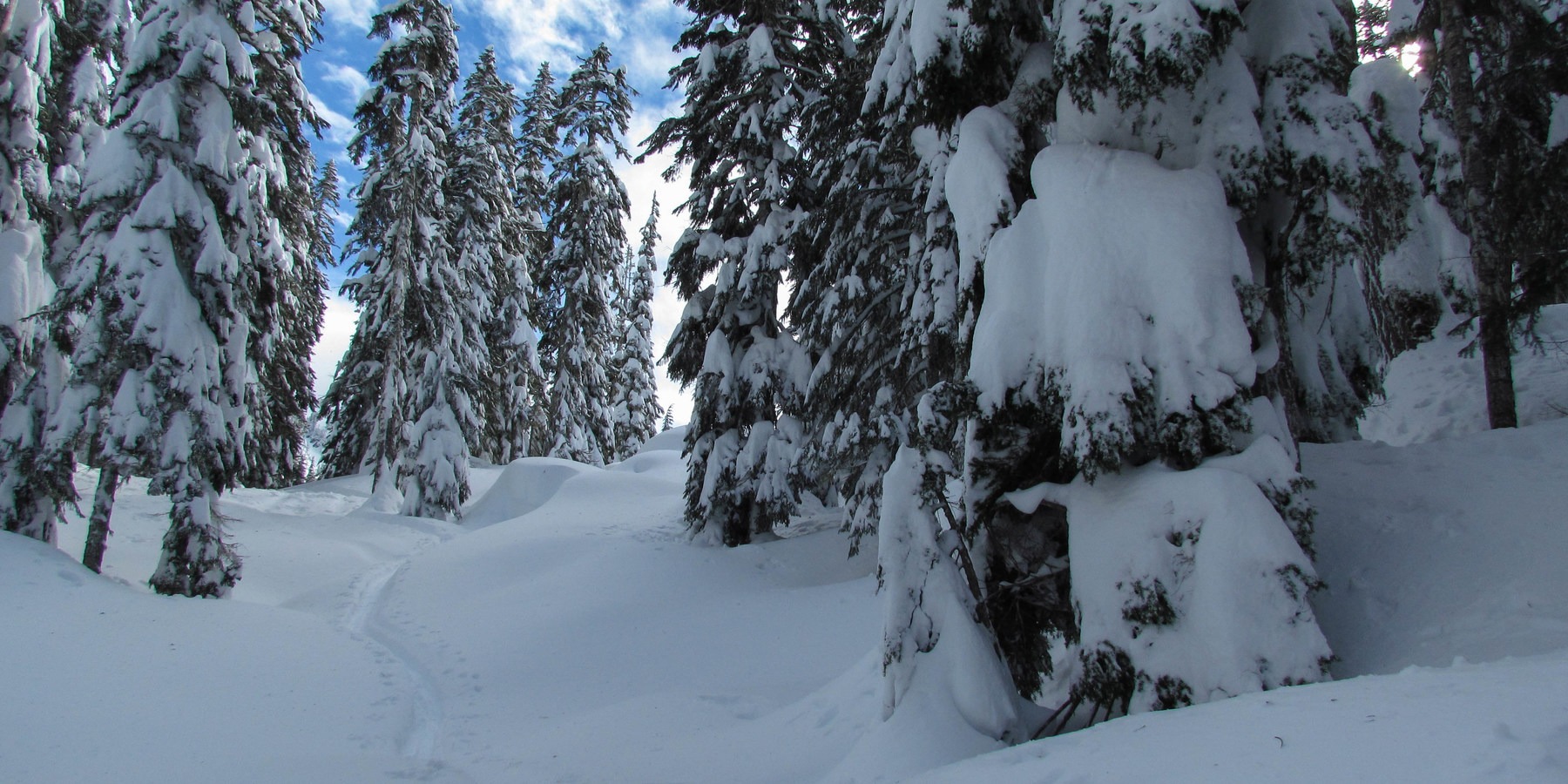Great Snowshoeing Near Seattle Outdoor Project