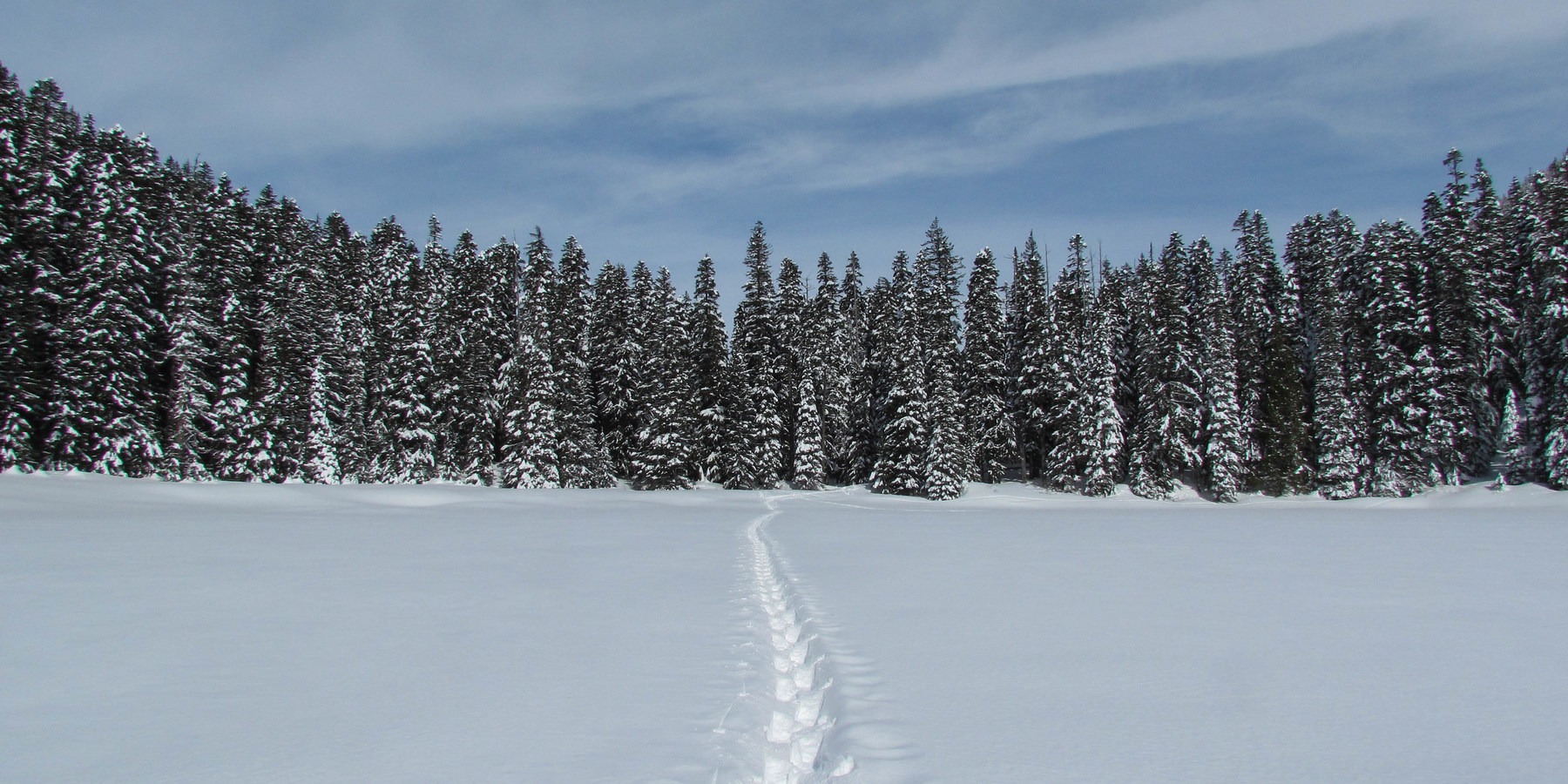 Great Snowshoeing Near Seattle - Outdoor Project
