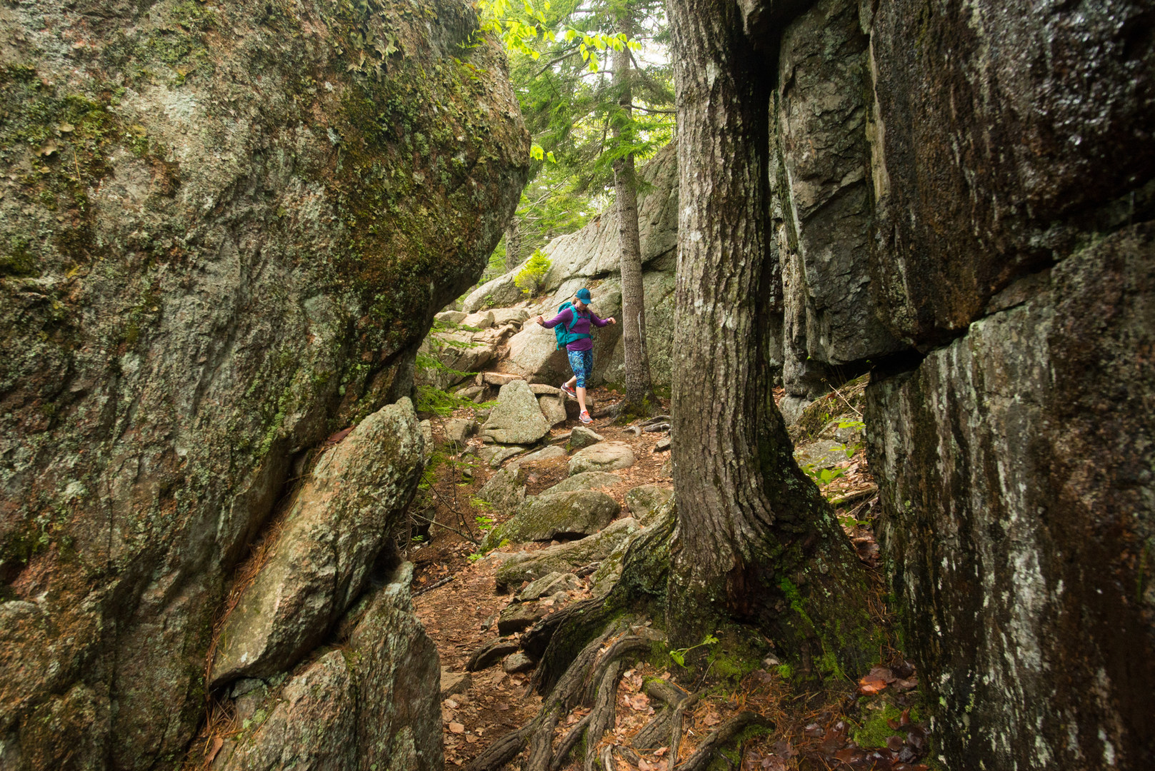 10 of Acadia National Park's Best Day Hikes - Outdoor Project
