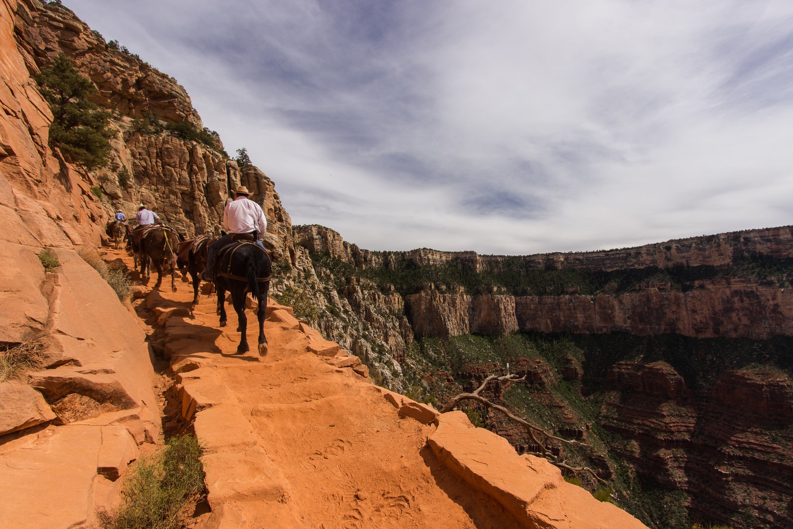 South Kaibab Bright Angel Trails - Img 4361