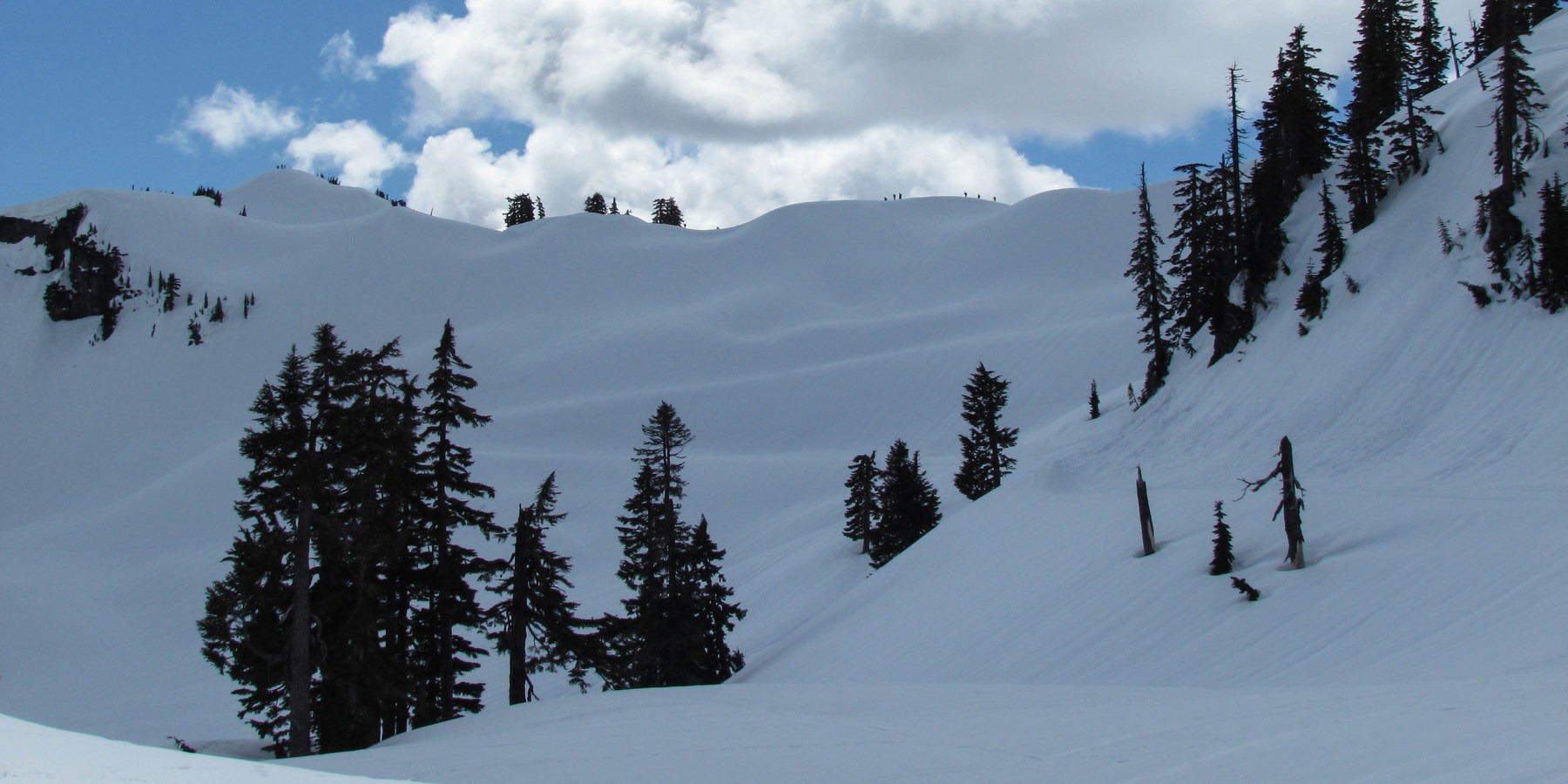 35 Amazing Snowshoe Trails in Washington Outdoor Project
