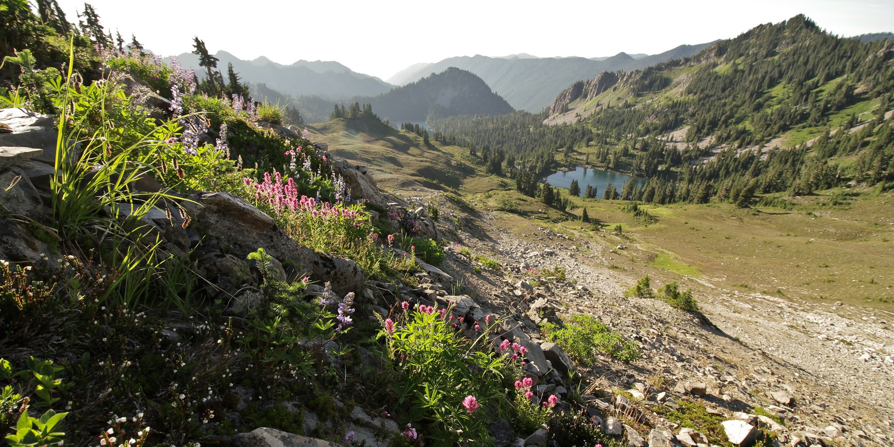 Washington's Best Backpacking Trips - Olympicnationalpark 20140806 0066 Washington's Best Backpacking Trips - Olympicnationalpark 20140806 0066