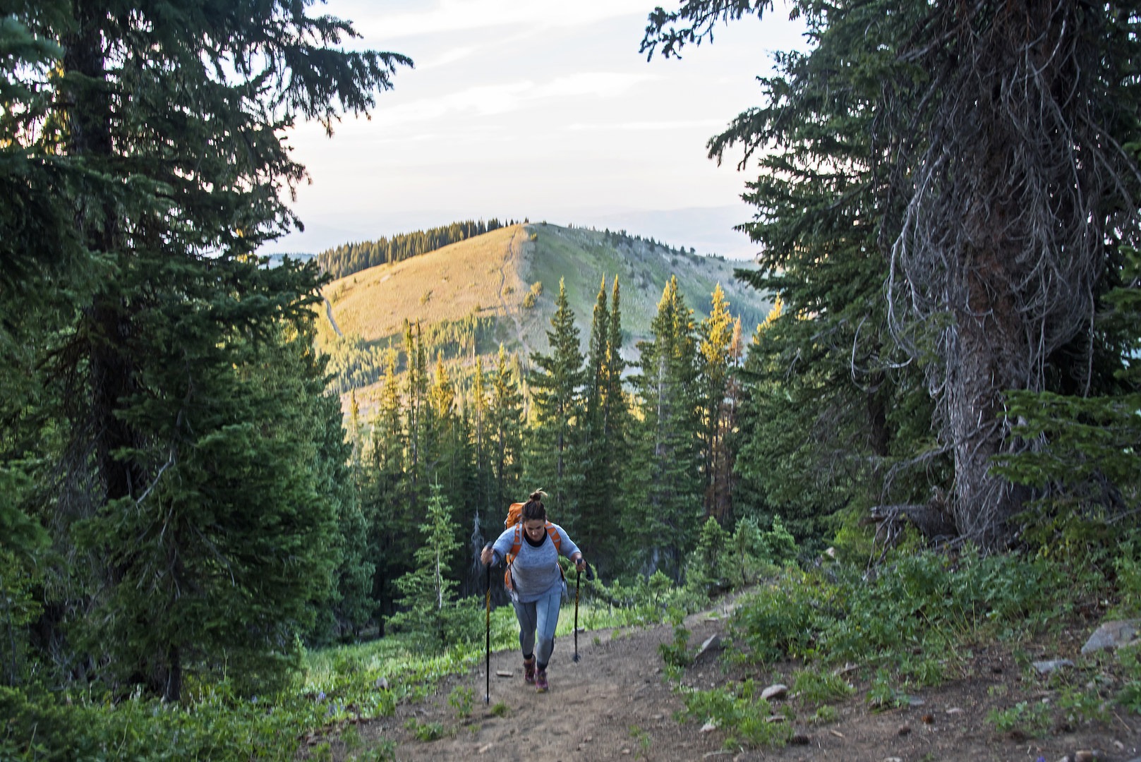 Development Threatens Bonanza Flats in Utah's Wasatch Outdoor Project