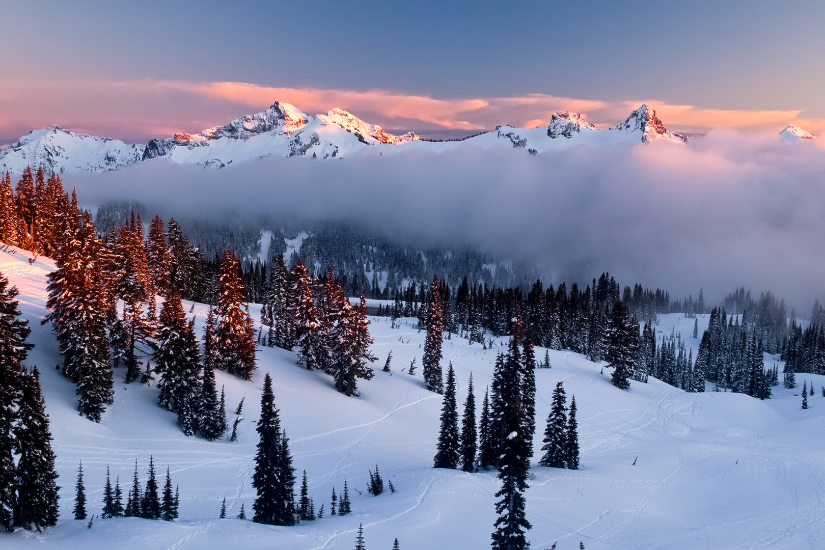 Winter in Mount Rainier National Park Outdoor Project