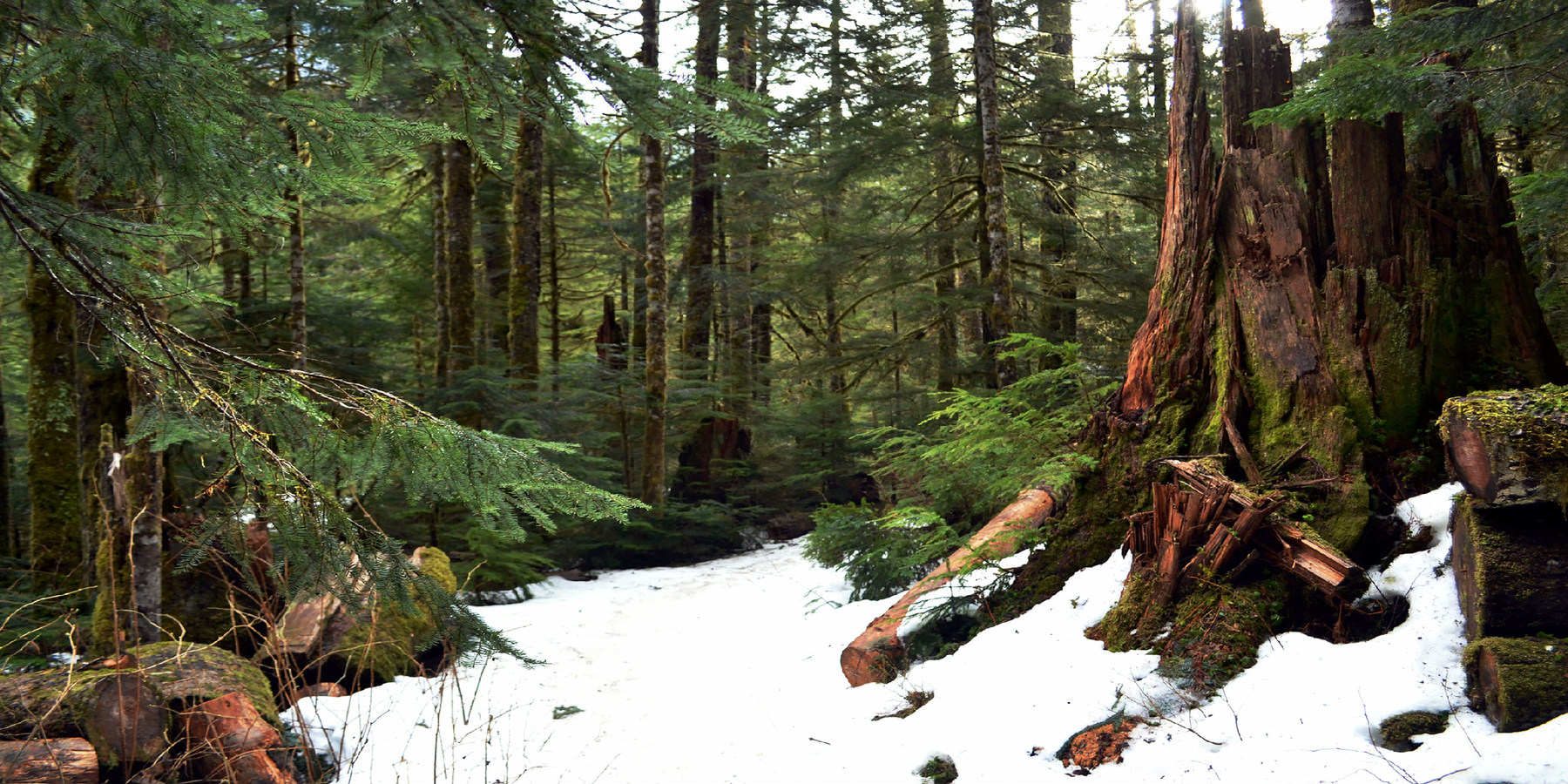 Great Snowshoeing Near Seattle Outdoor Project