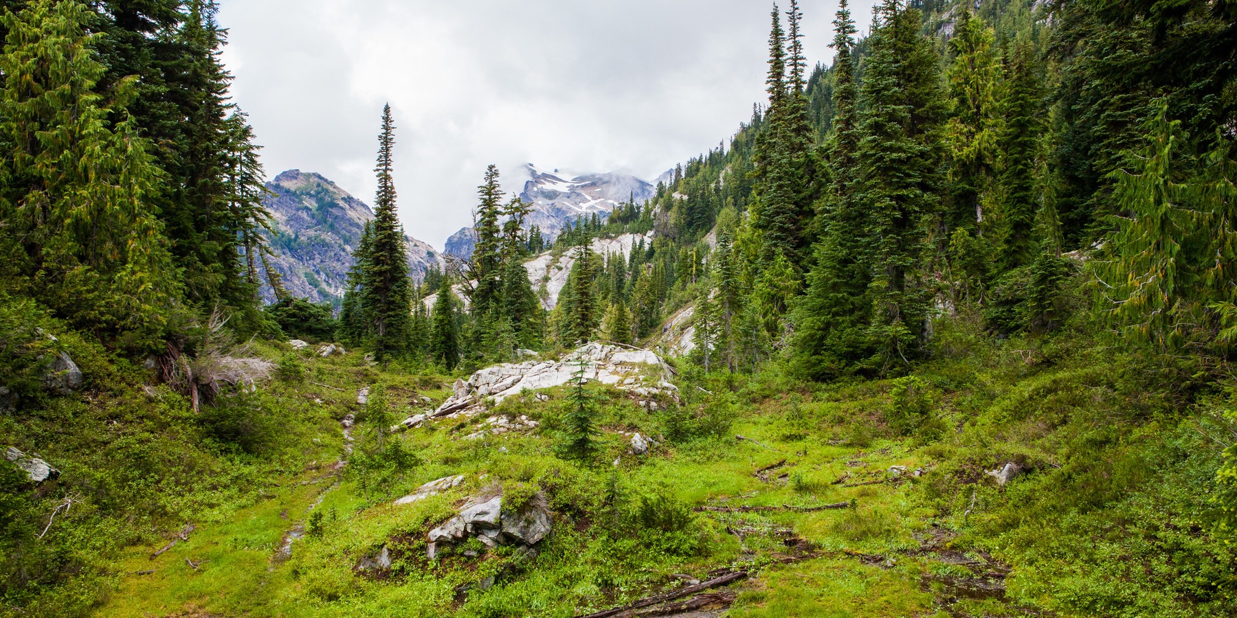 Washington's Best Backpacking Trips Outdoor Project