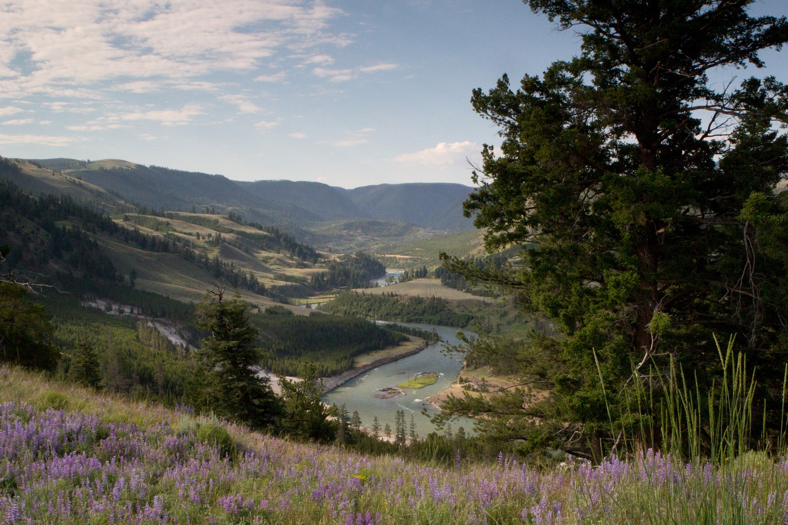 10 Best Day Hikes in Yellowstone National Park Outdoor Project