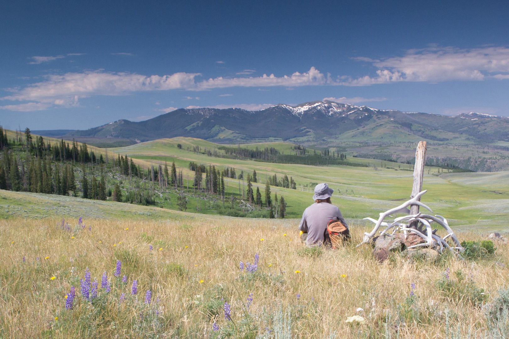 10 Best Day Hikes in Yellowstone National Park Outdoor Project