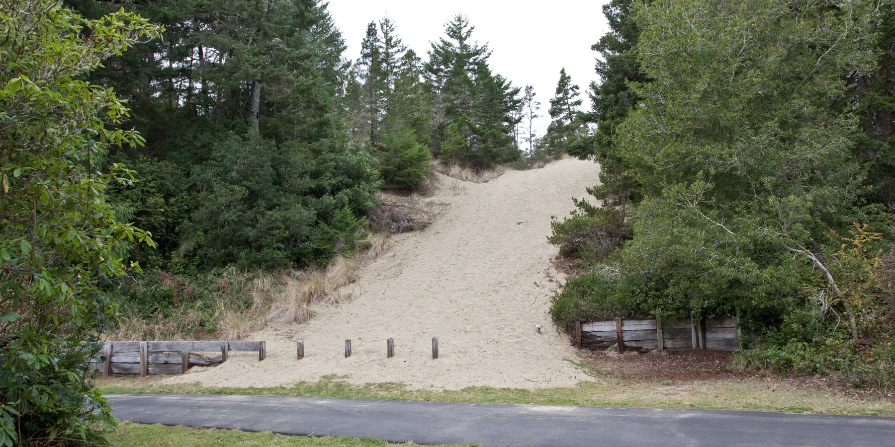 Guide to the Oregon Dunes National Recreation Area Outdoor Project