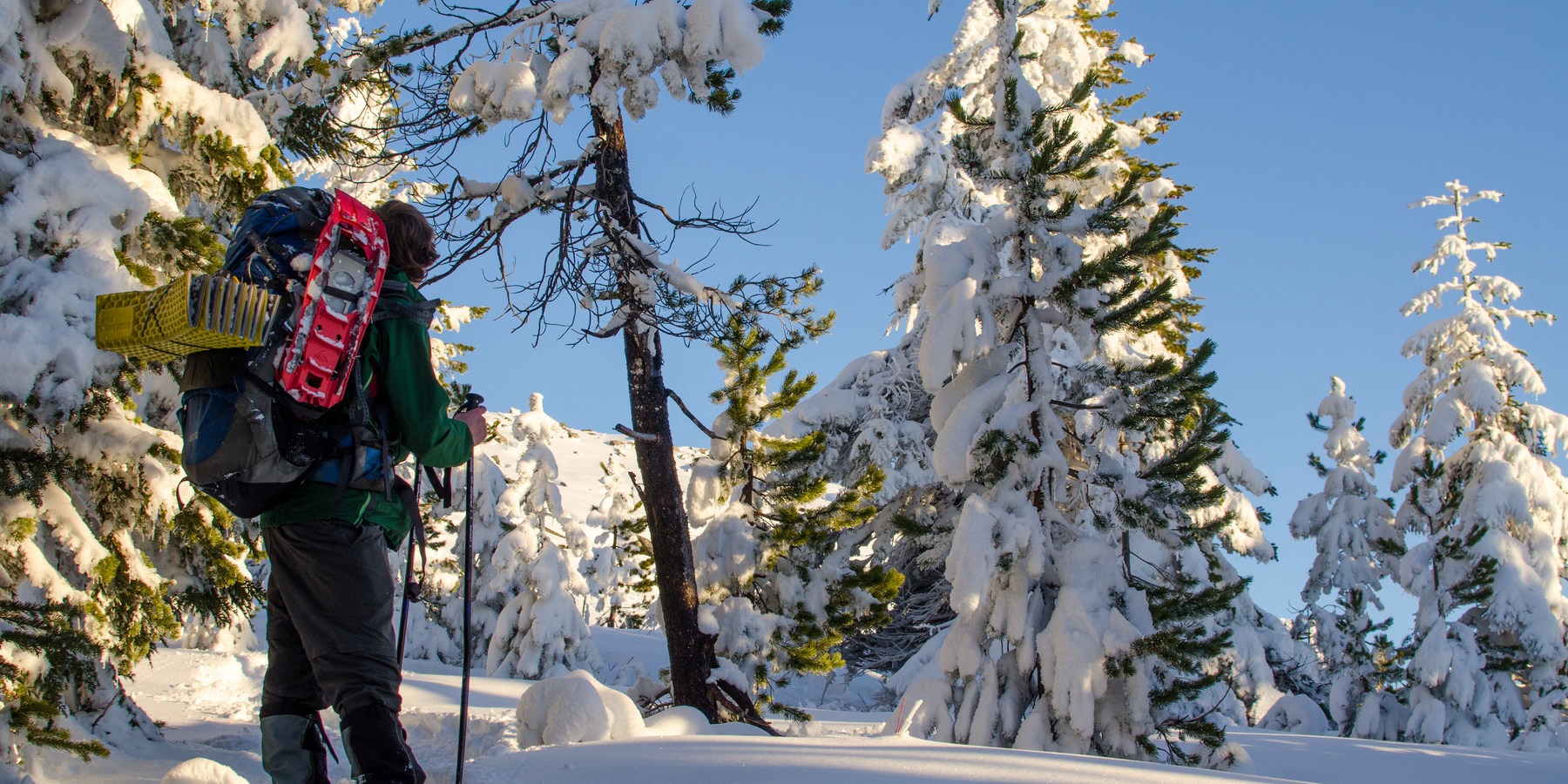 10 Amazing Snowshoe Trails in Oregon - Outdoor Project