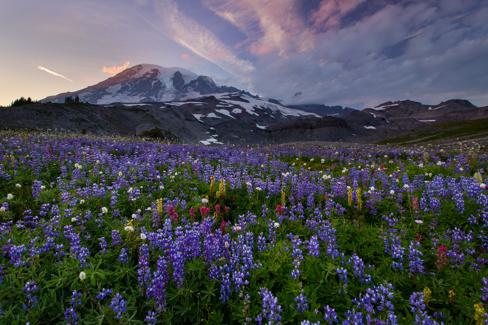 12 Reasons to Visit Mount Rainier National Park Outdoor Project