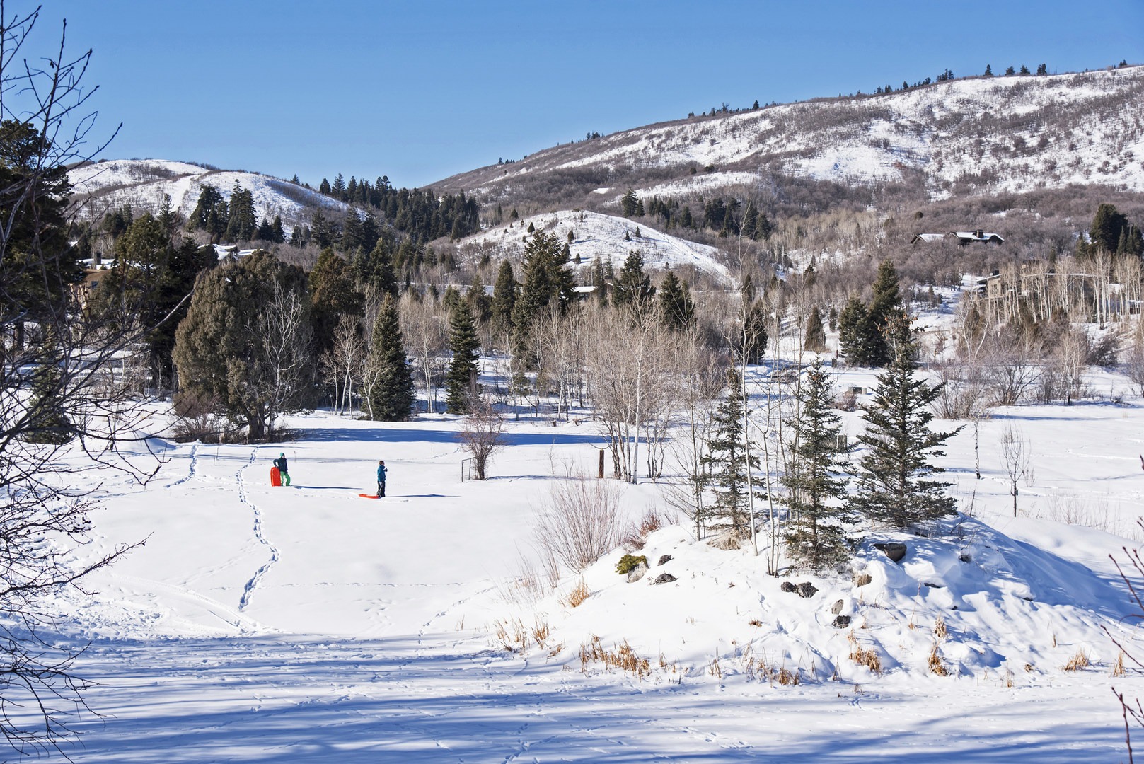 5 Great Snowshoe Trails Near Salt Lake City Outdoor Project