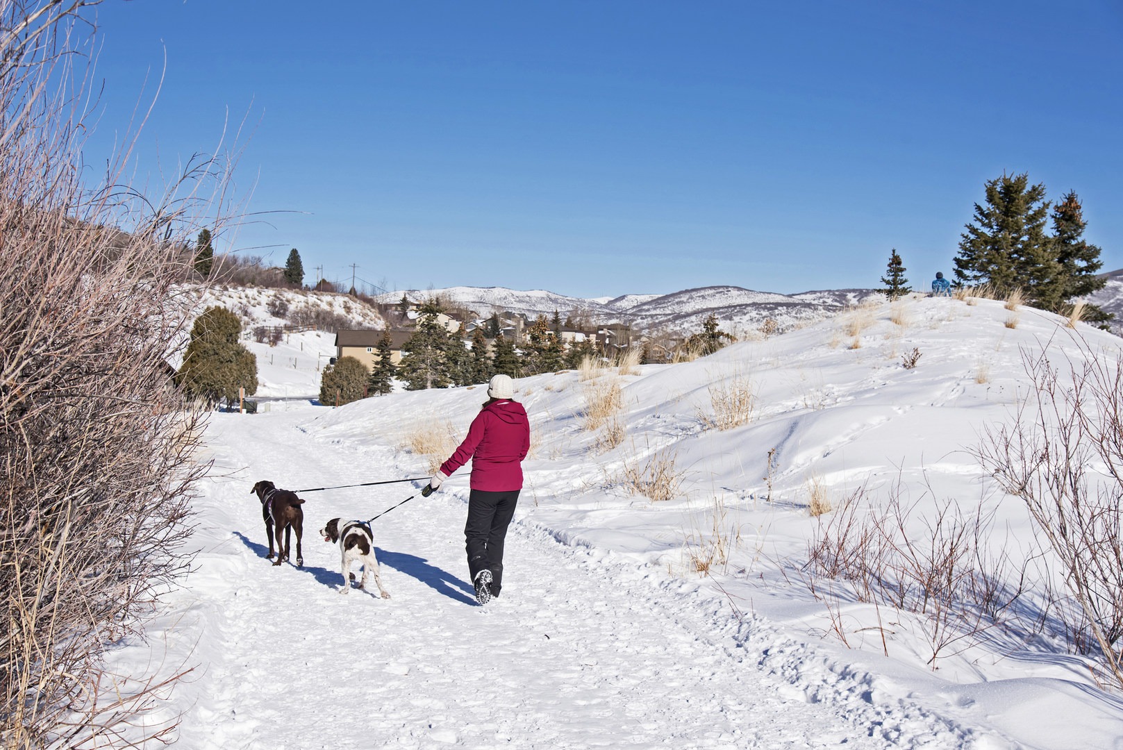5 Great Snowshoe Trails Near Salt Lake City Outdoor Project