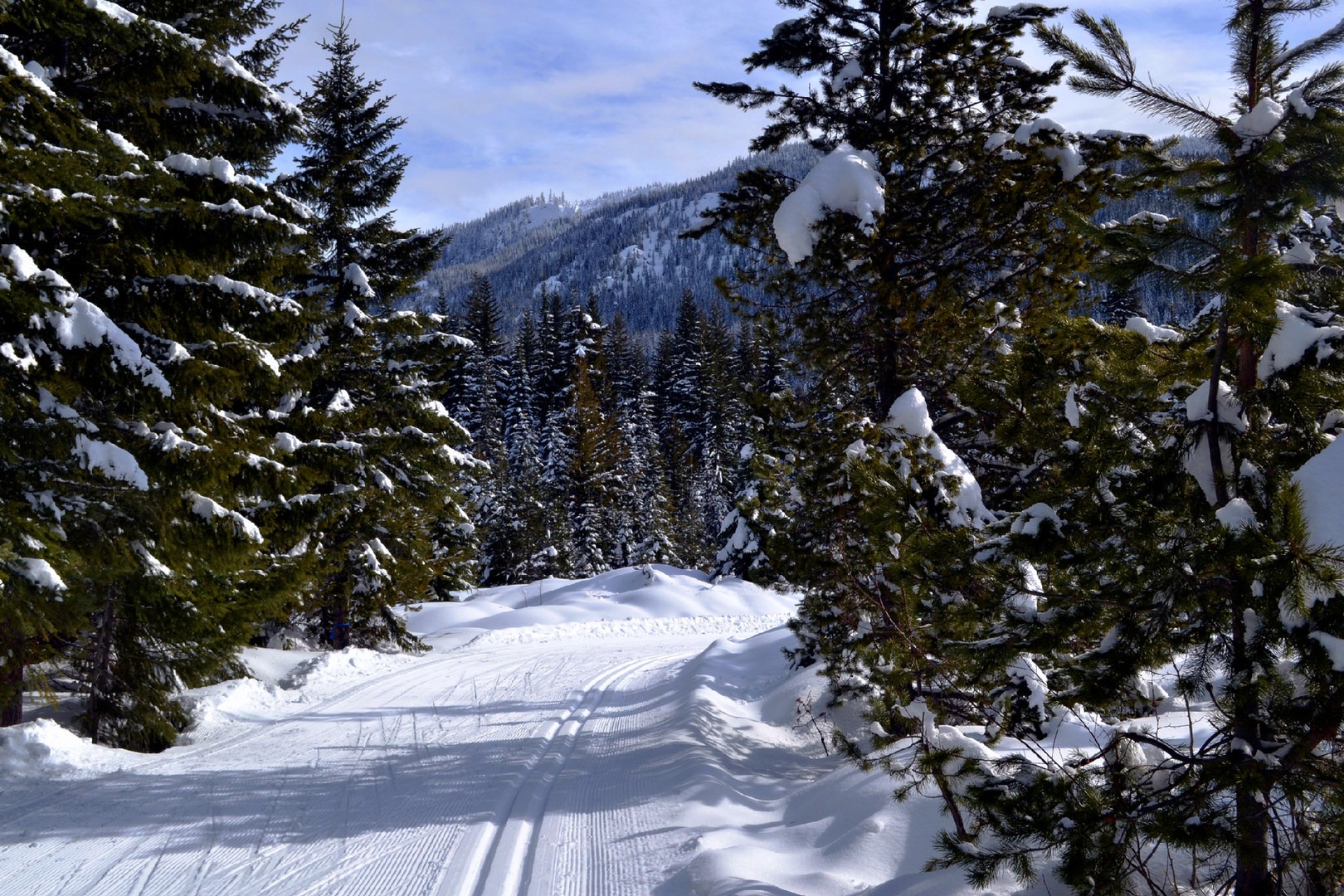 10 Beautiful CrossCountry Ski Trails Outdoor Project