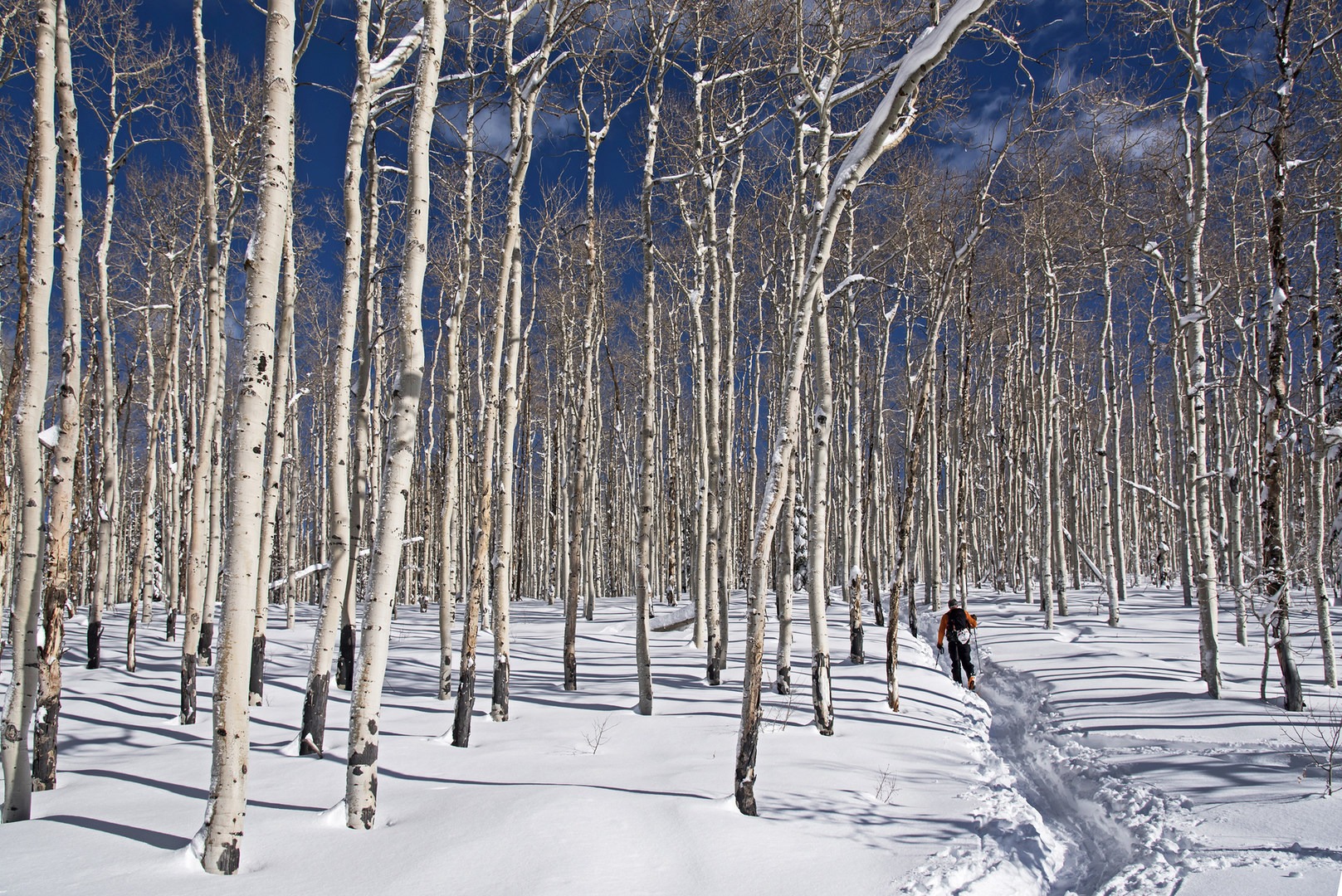 5 Great Snowshoe Trails Near Salt Lake City Outdoor Project