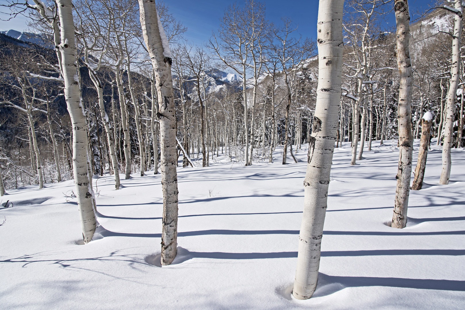 5 Great Snowshoe Trails Near Salt Lake City - Outdoor Project