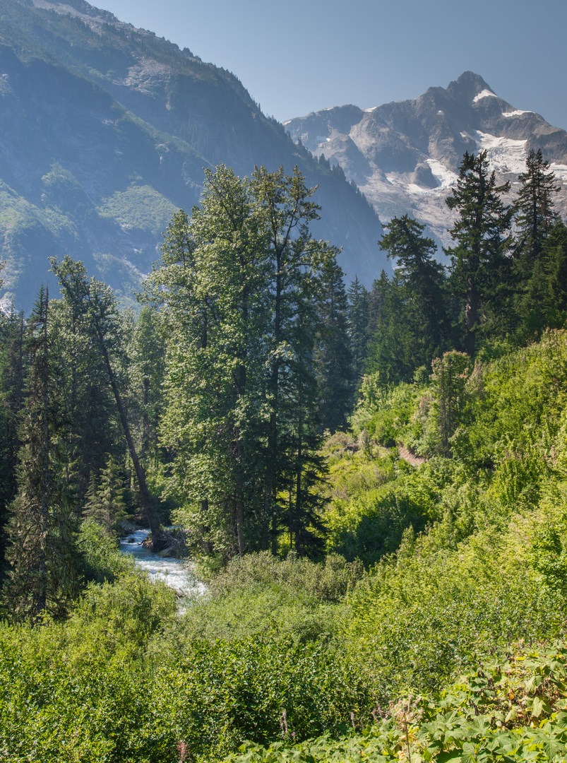 A Week on the Pacific Northwest - Dsc 0053 20 Of 45 