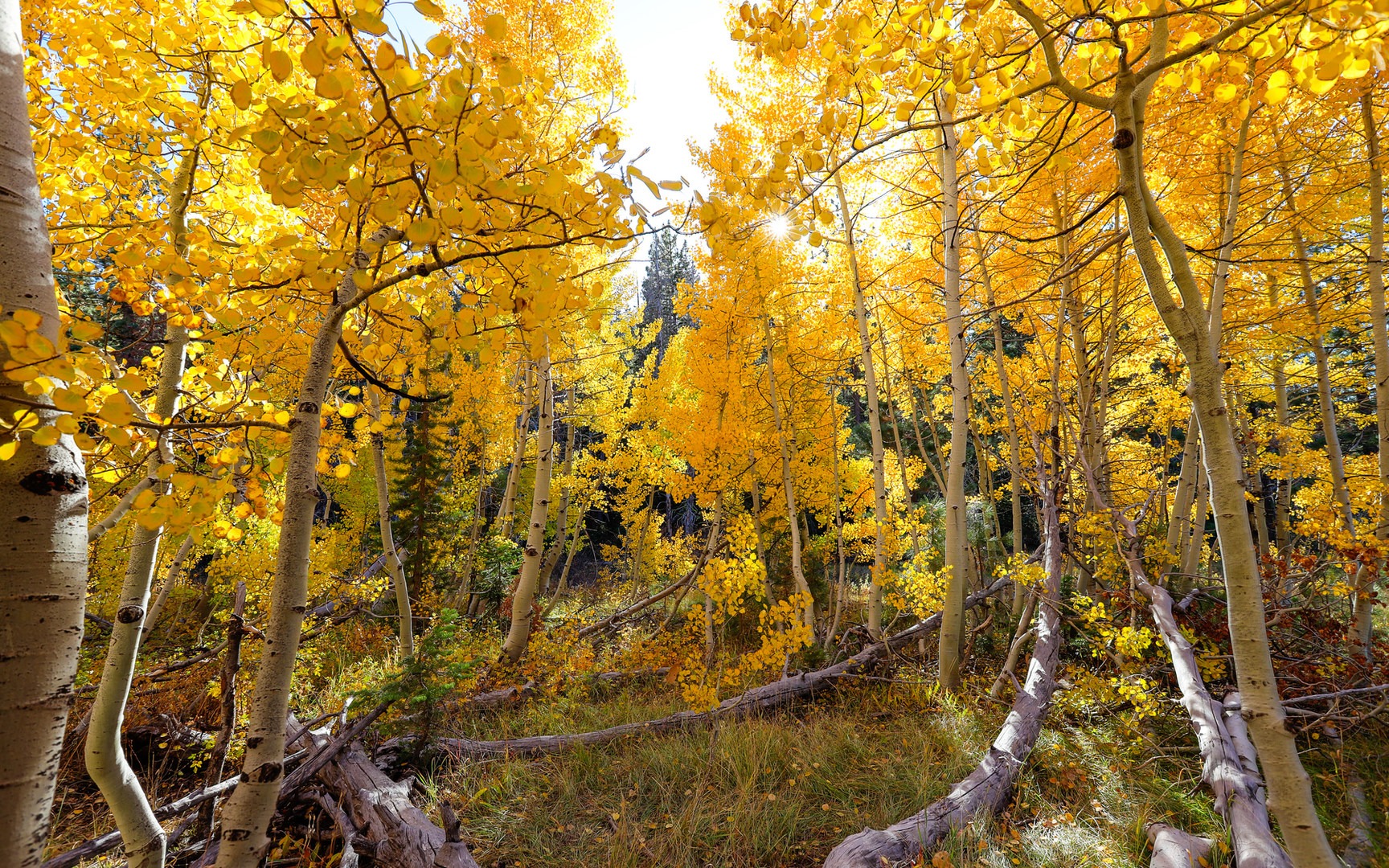 5 Incredible Fall Hikes Near South Lake Tahoe - Outdoor ...