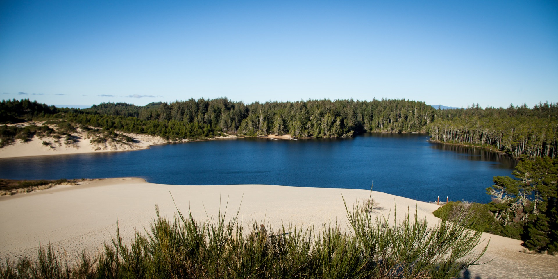 Cleawox Lake from the top of a nearby dune.