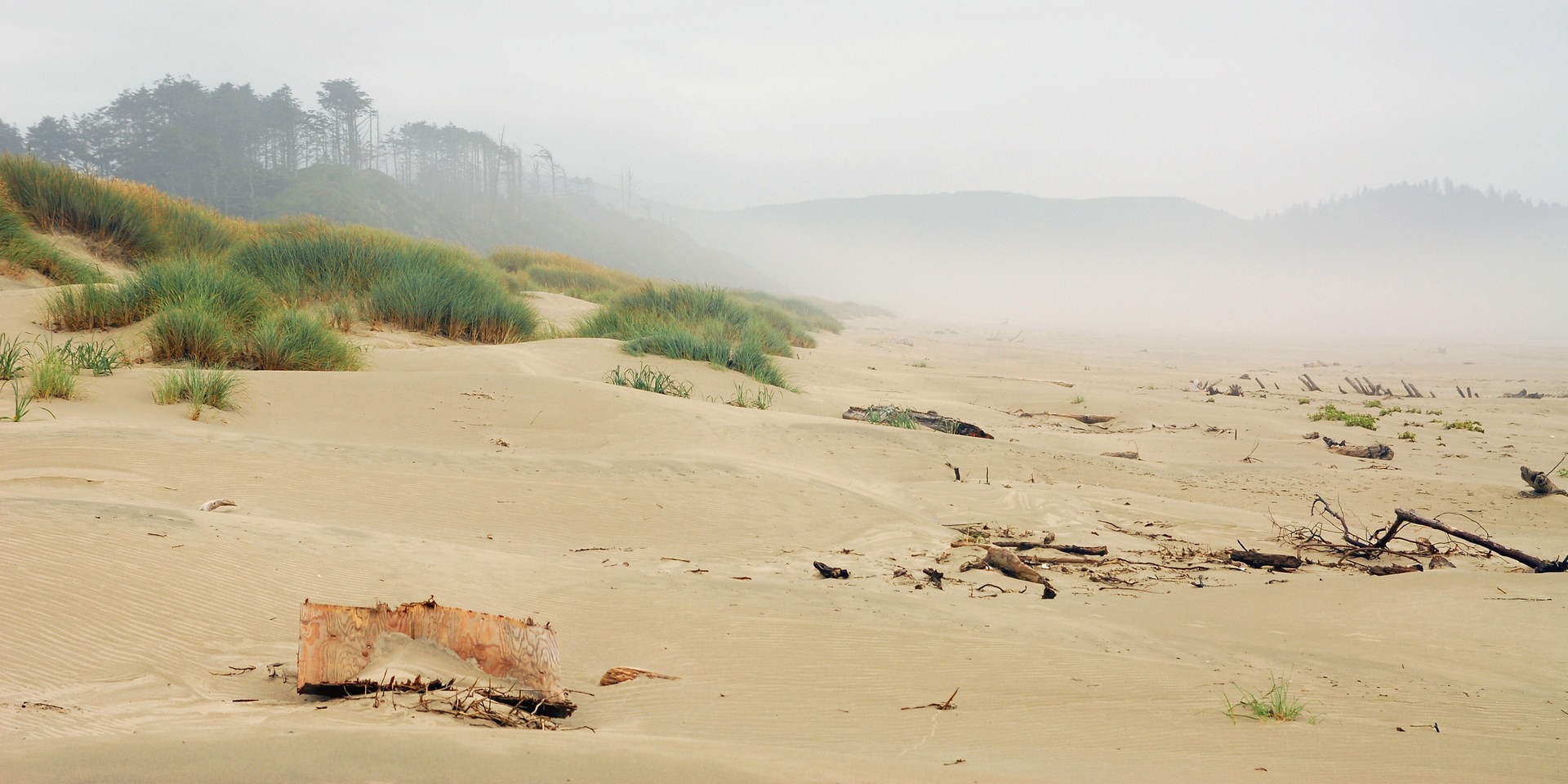 Looking south toward Cape Meares.