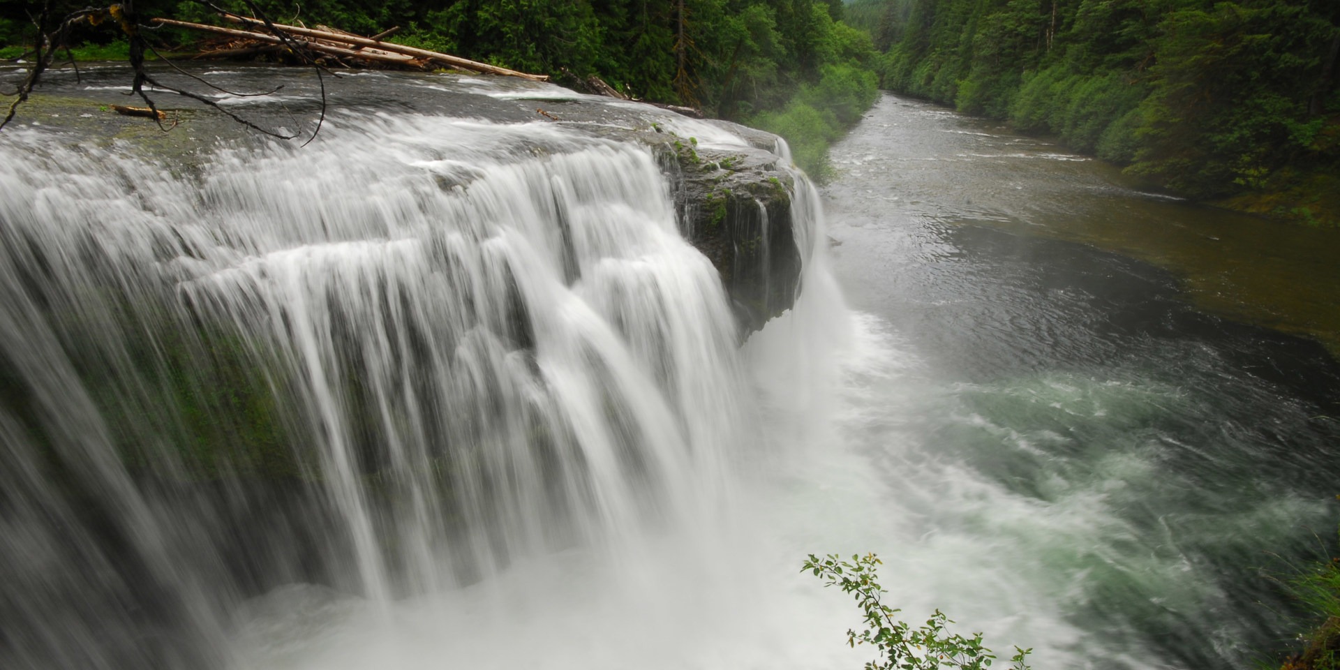 Lower Lewis River Falls.