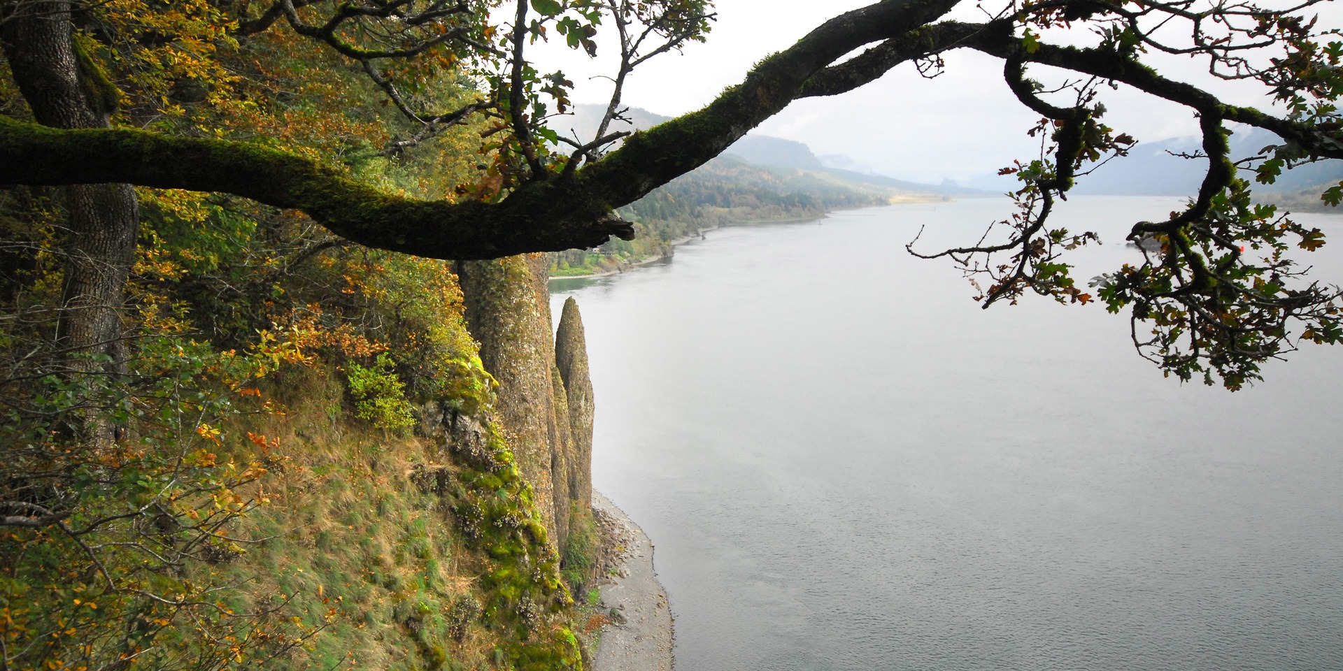 Viewpoint along the Cape Horn Lower Trail.