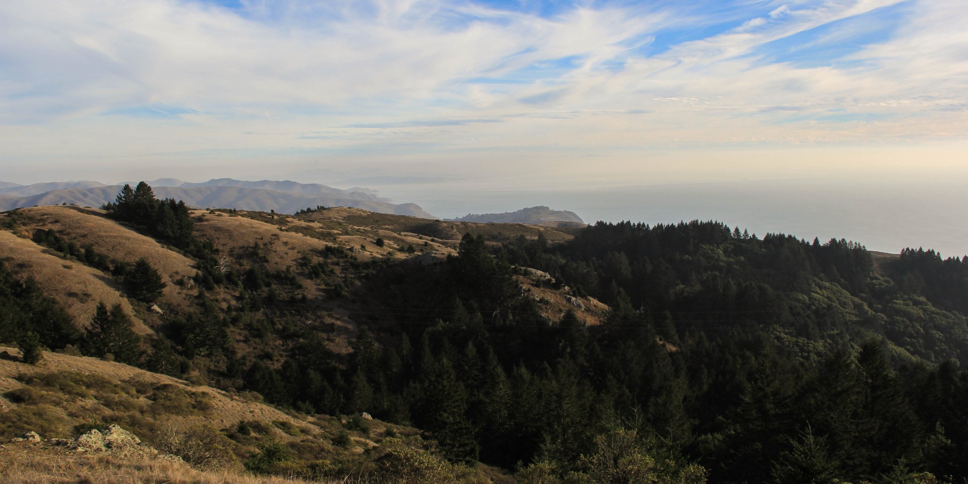 Steep Ravine Trail to Dipsea Trail Loop Outdoor Project