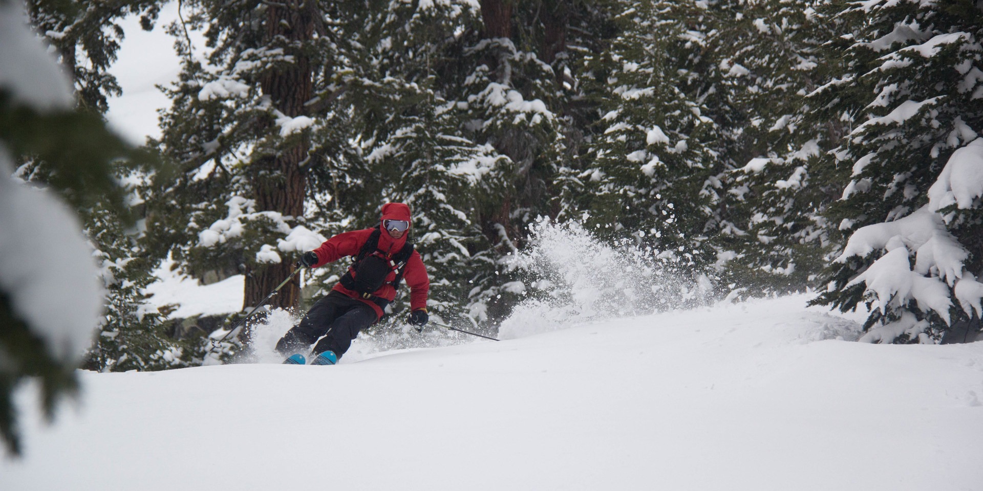 Well-spaced glades hold powder for days following storms on Powderhouse's east and north aspects.