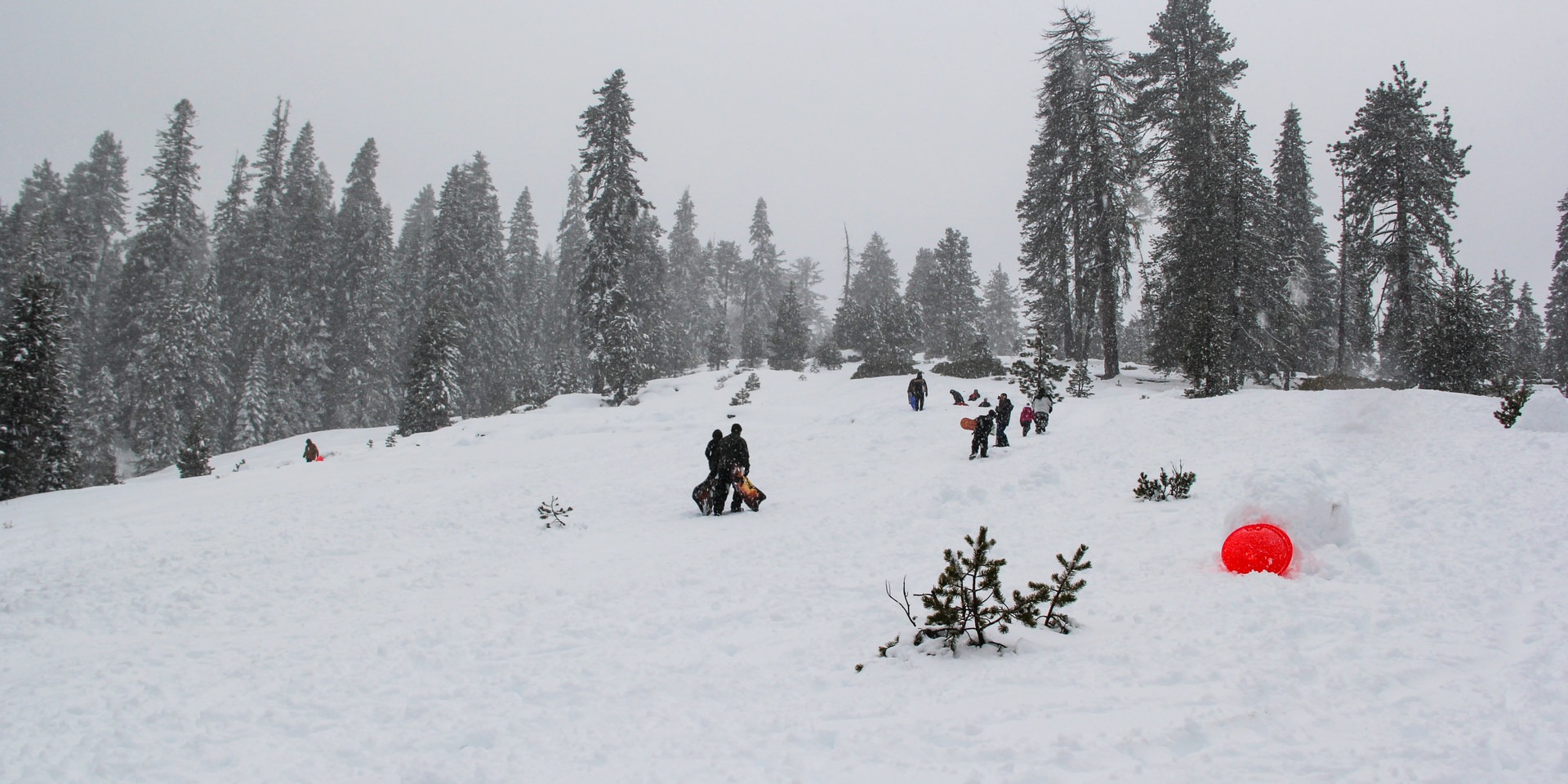 Sledding at Wolverton Meadow.