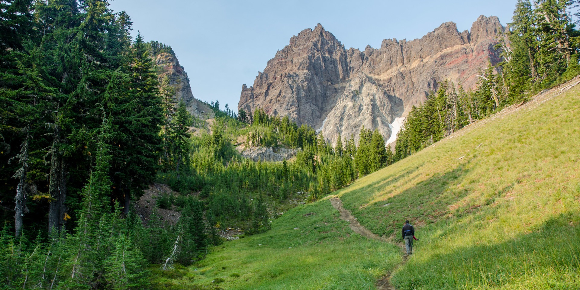 Trail through a meadow heading toward the upper meadow.