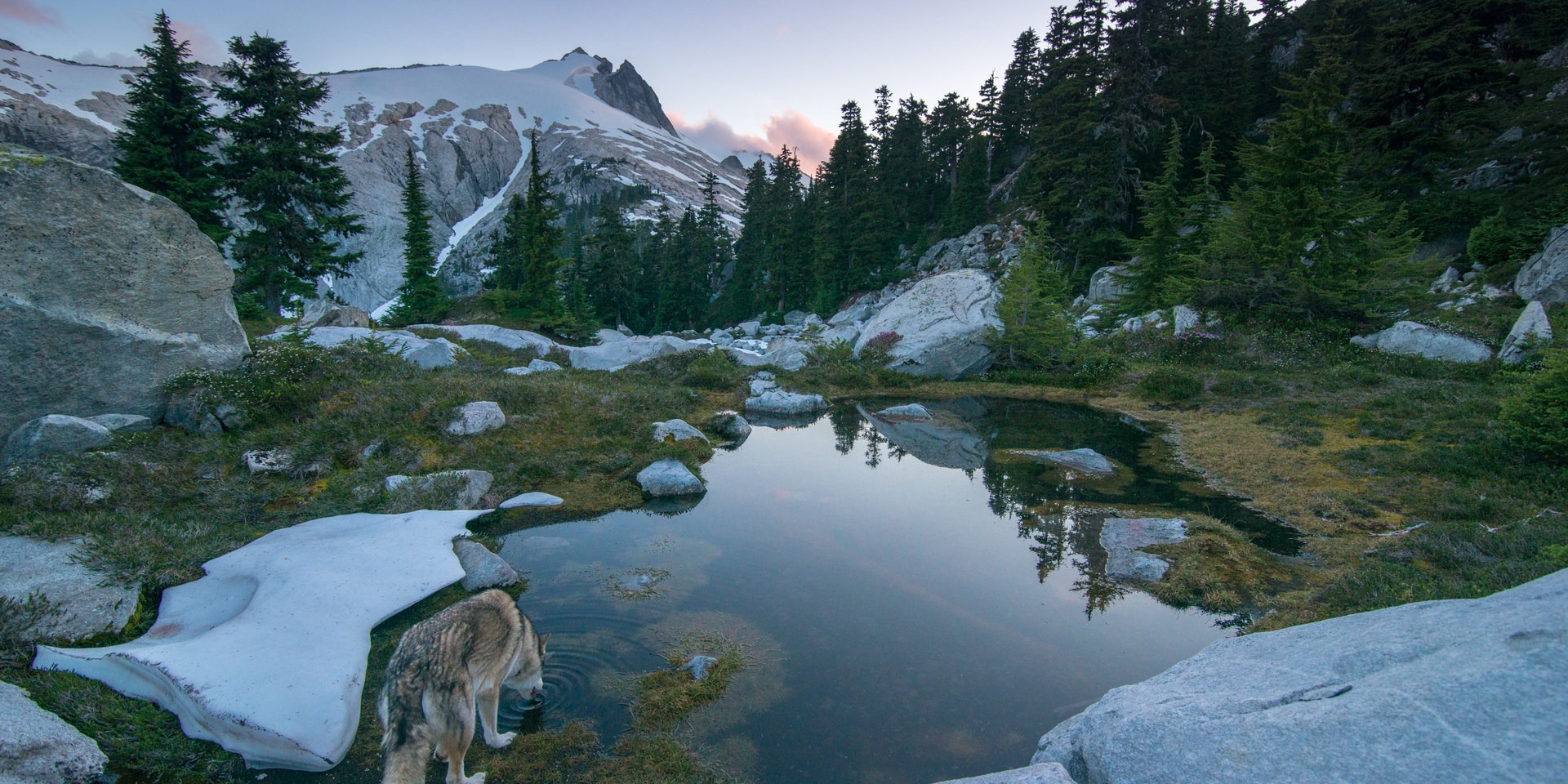 An alpine reflection.