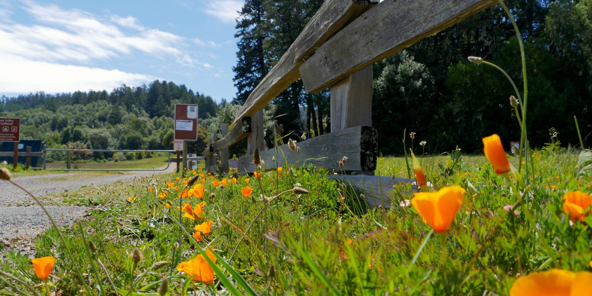 The entrance at Bear Valley Visitor Center.