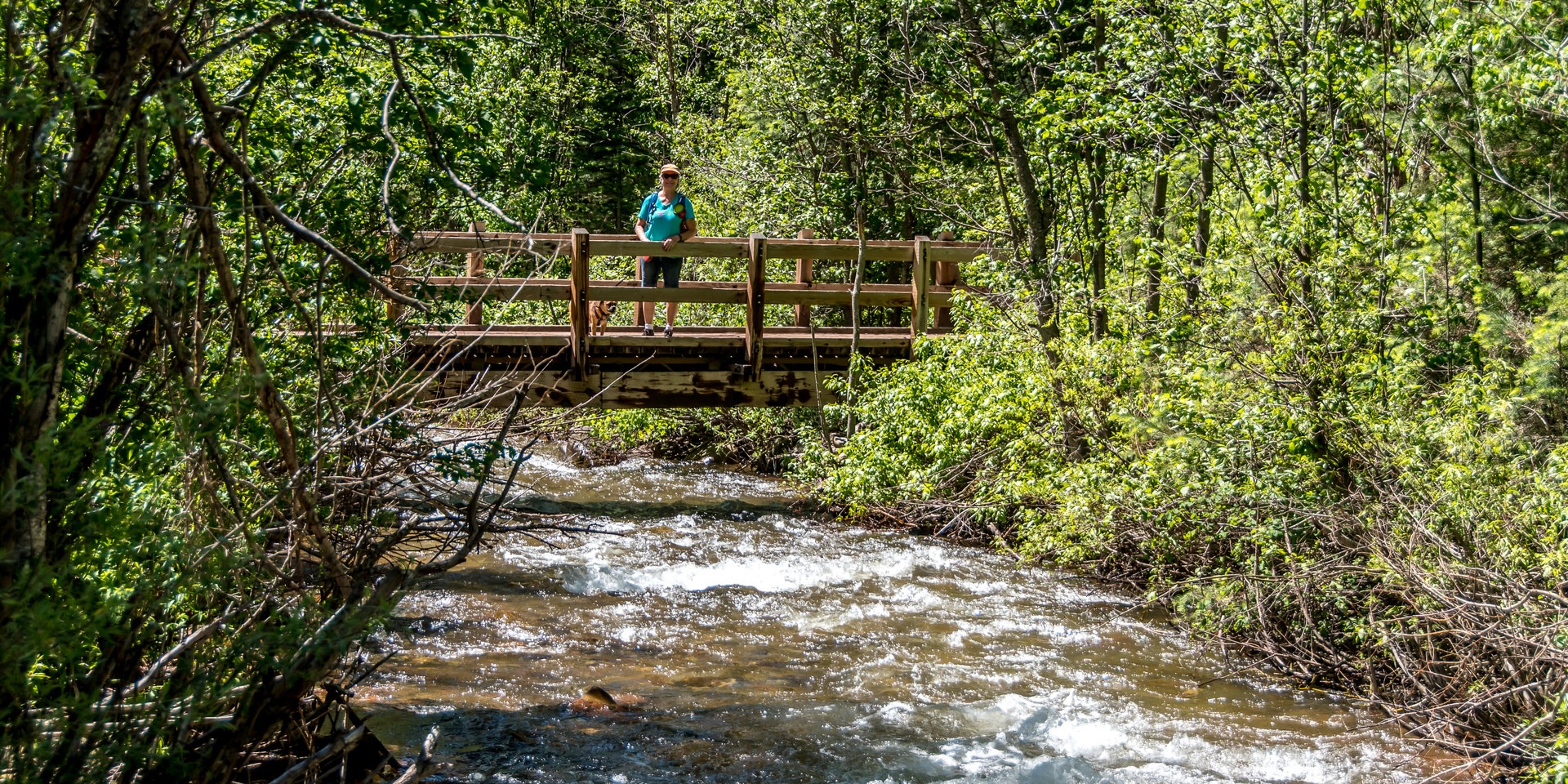 The Junction Creek Bridge